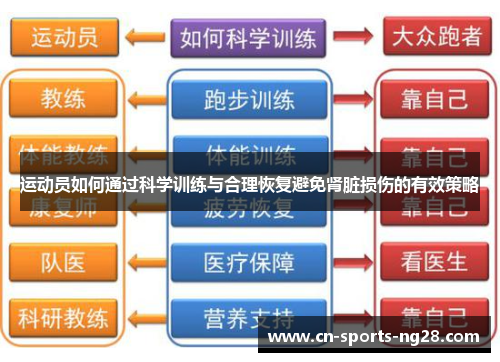 运动员如何通过科学训练与合理恢复避免肾脏损伤的有效策略