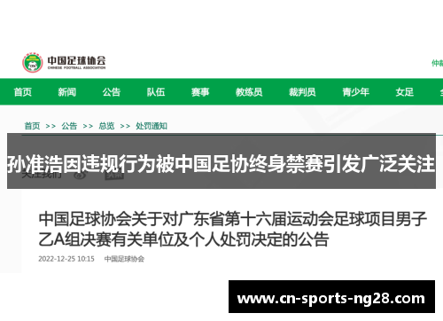 孙准浩因违规行为被中国足协终身禁赛引发广泛关注