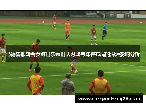 马德鲁加转会费对山东泰山队财政与阵容布局的深远影响分析 马德鲁加转会费对山东泰山队财政与阵容布局的深远影响分析
